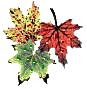 feuilles - Gratis geanimeerde GIF
