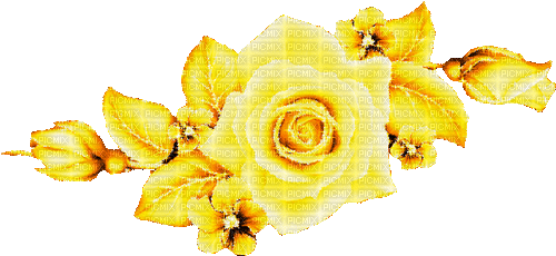 Roses - Ücretsiz animasyonlu GIF
