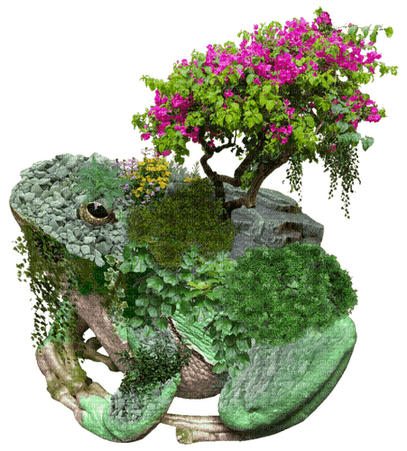 Plant nature elemental froggy frog - gratis png