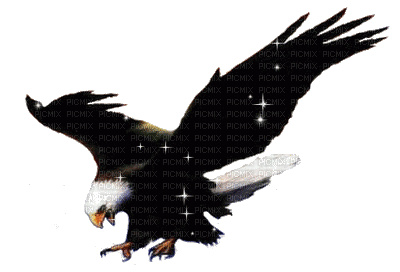 aigle - Free animated GIF - PicMix