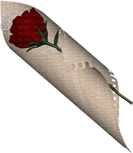 rose rouge Cheyenne63 - PNG gratuit