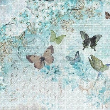 Scrap Background Flowers Butterfly - PNG gratuit