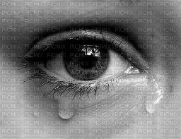 larmes pleurs - ücretsiz png