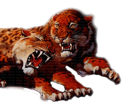 fantasy tigers  by nataliplus - bezmaksas png