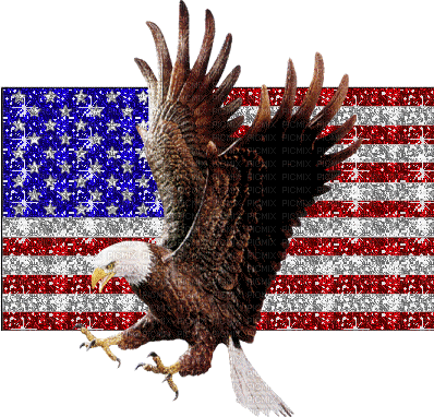 flag usa america eagle bird glitter  anime animated animation gif drapeau - Free animated GIF