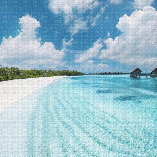 Summer Background - PNG gratuit