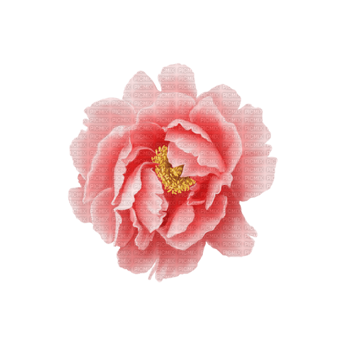 kikkapink deco scrap pink flower - kostenlos png