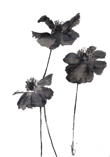 black flowers Bb2 - besplatni png