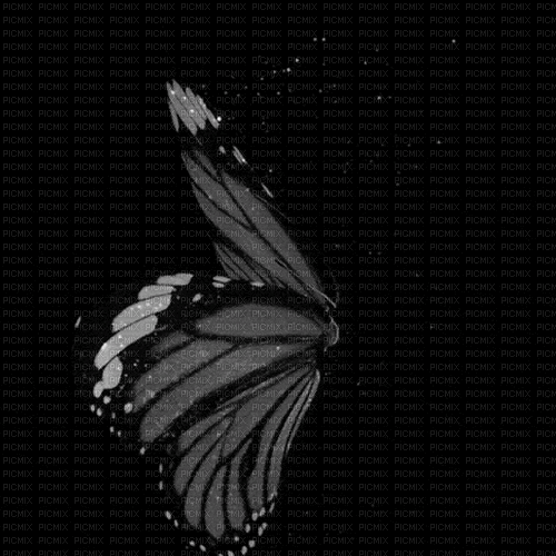 крыло бабочки - Δωρεάν κινούμενο GIF