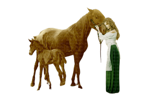 kvinna-häst------woman and horses - png ฟรี