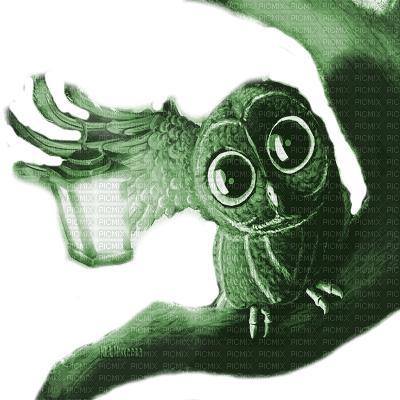Y.A.M._Fantasy bird owl green - PNG gratuit