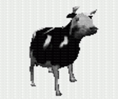 vaca baile - GIF animado grátis