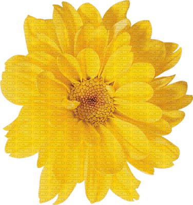 Kaz_Creations Deco Flowers Flower Yellow - bezmaksas png