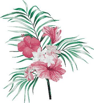 soave deco summer  flowers animated pink green - GIF animé gratuit