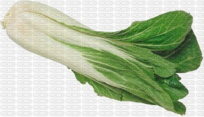 legume - PNG gratuit
