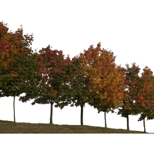 Tree Trees Autumn Fall Deco Tube JitterBugGirl - zadarmo png