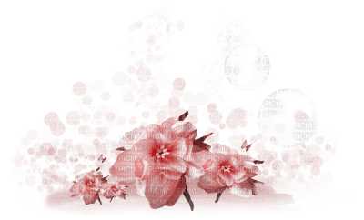 soave deco flowers rose bubble spring - PNG gratuit