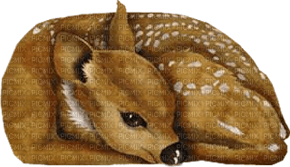 deer katrin - ingyenes png