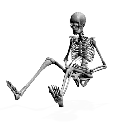 skeleton bp - gratis png