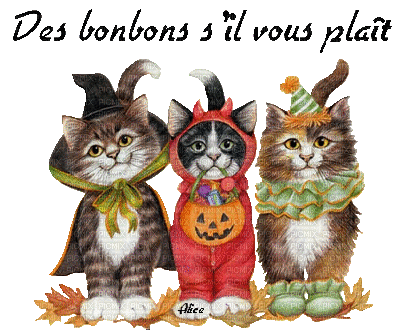 halloween cats  chats gif - Bezmaksas animēts GIF