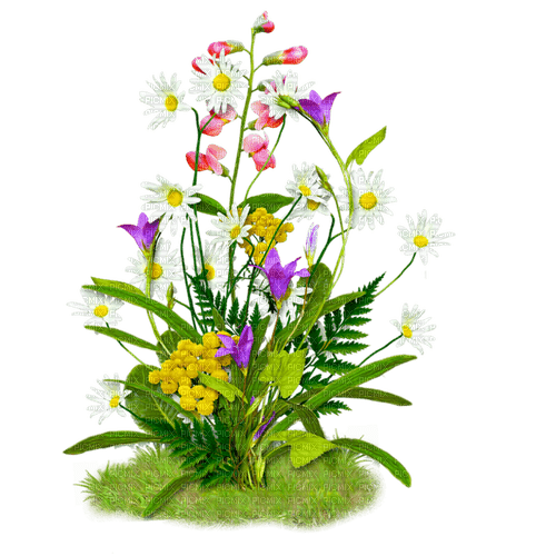 Flowers.White.Pink.Purple.Yellow - PNG gratuit