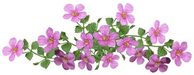 kukka, flower, fleur - gratis png