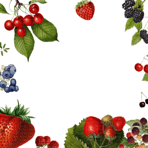 berry frame Bb2 - 無料png