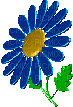kwiat - GIF animado gratis