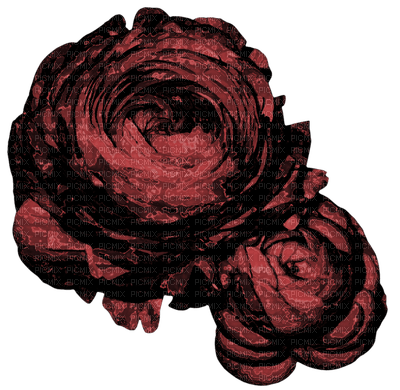 rose-flower-pink-minou52 - Free PNG