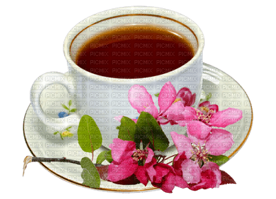 tea tee thé cup deco fleur - png ฟรี