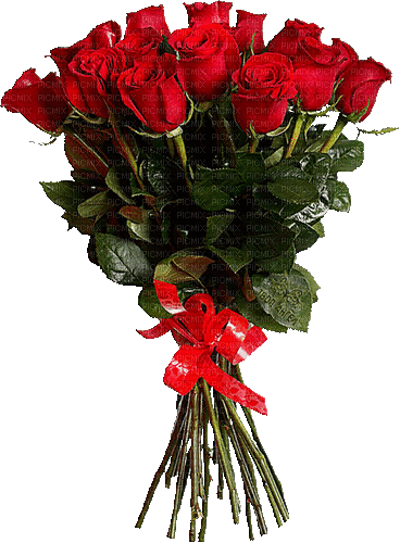 Bouquet of red roses - Darmowy animowany GIF