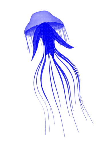 Jellyfish.Blue - ücretsiz png