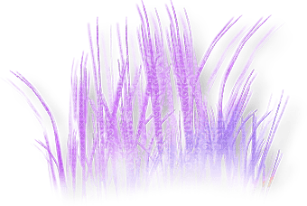 soave deco grass spring purple - PNG gratuit