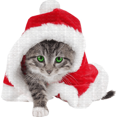 Christmas animals bp - 免费PNG