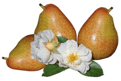 fruit, hedelmä, päärynä, pear - ingyenes png