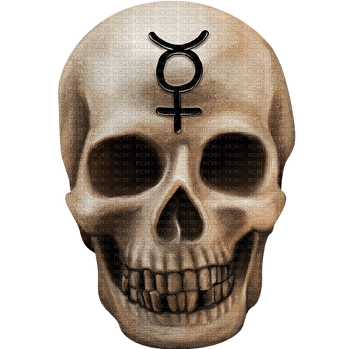 Gothic.Skull.Black.White - PNG gratuit