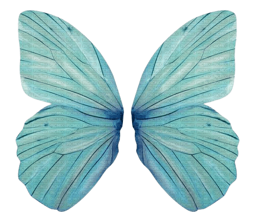 ailes papillon - PNG gratuit