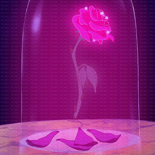 rose gif - 免费动画 GIF