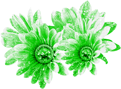 Flowers.Green - PNG gratuit