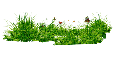 Kaz_Creations Deco Flowers Flower Colours Grass - безплатен png