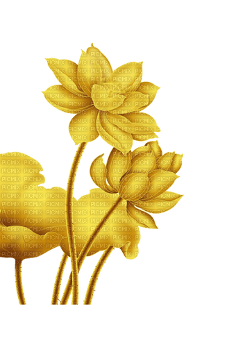 nbl-gold lotus - фрее пнг