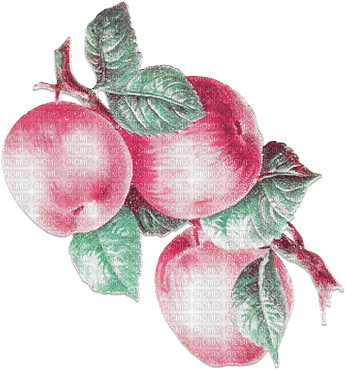 soave deco fruit apple branch  pink green - gratis png