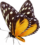 butterflies katrin - 免费PNG