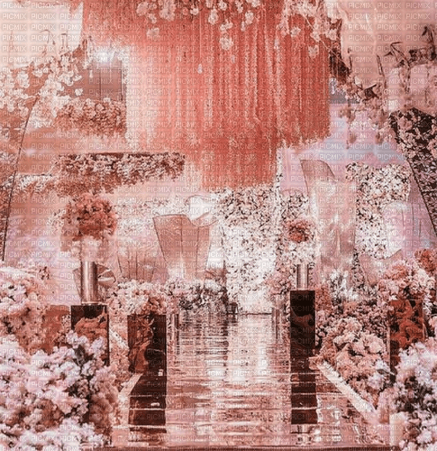 Rena Pink Wedding Background - png grátis