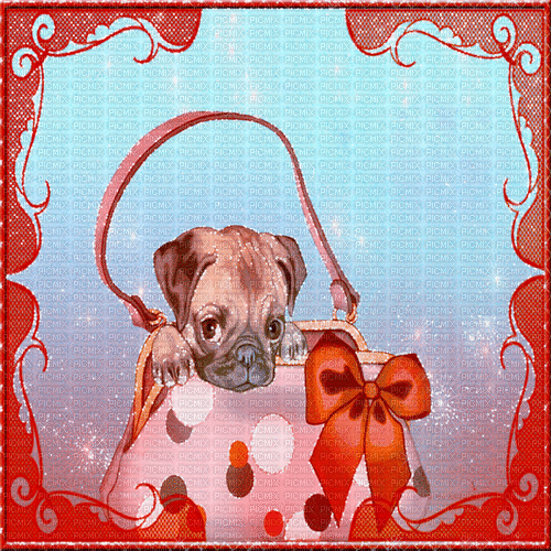 dog hund milla1959 - 無料のアニメーション GIF