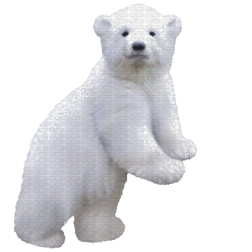 bear bär winter milla1959 - Bezmaksas animēts GIF