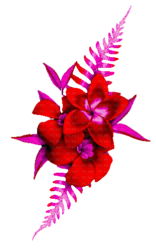 Animated.Flowers.Red.Pink - By KittyKatLuv65 - Безплатен анимиран GIF