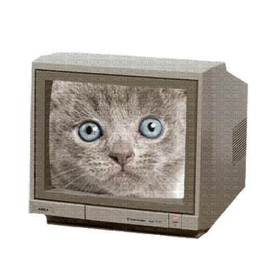 chat télé - Darmowy animowany GIF