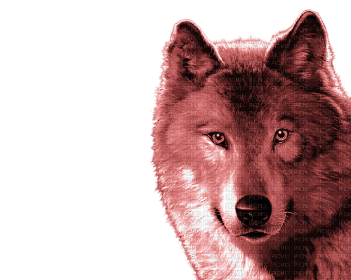 Kaz_Creations Wolf-Colours - bezmaksas png