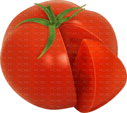 tomato Bb2 - png ฟรี